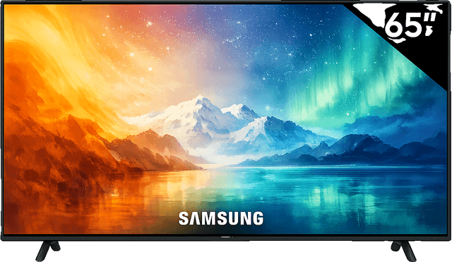 65" Samsung TV